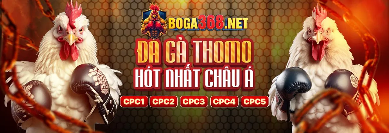 Trò chơi slot cổ điển fly88