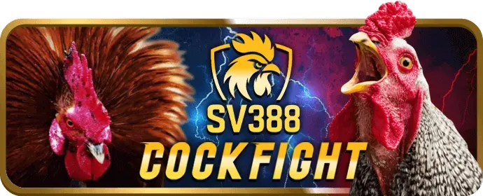 Thưởng Nạp Lại Fly88